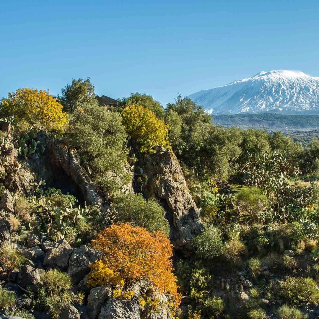etna